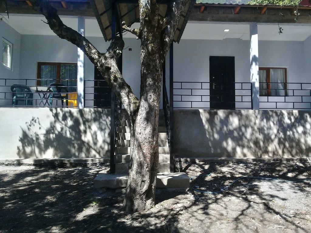 Guesthouse Ori Beli In Mestia Exterior foto